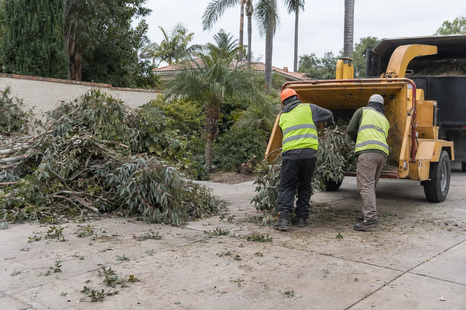 Two workers in hi-vis vests feeding cut tree limbs into a wood chipper parked on a residential driveway, with a pile of branches nearby and palm trees visible over a stucco wall