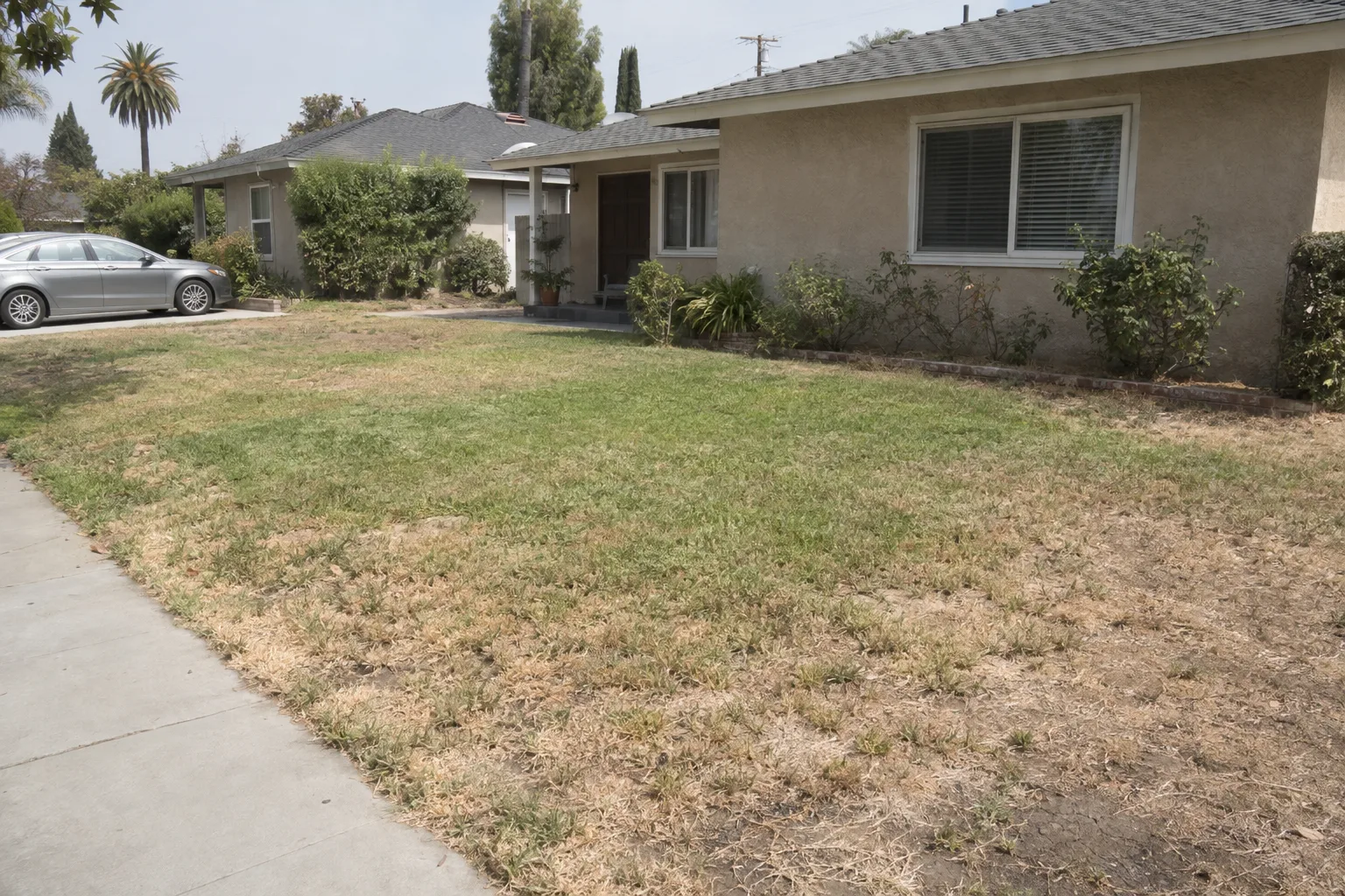 A front lawn in Los Angeles with large irregular brown patches and thinning grass edges, a stucco ranch house visible in the background under bright afternoon sun